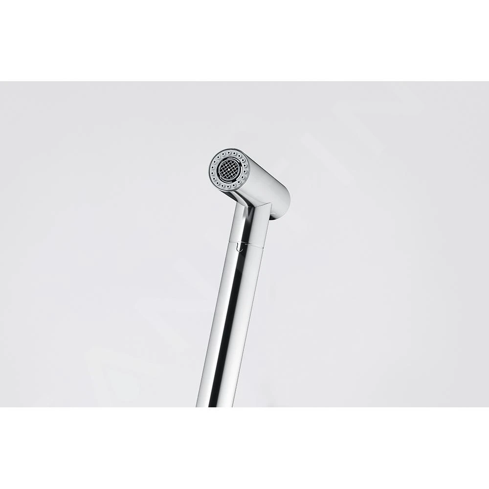 Franke Icon - Keukenkraan FG 5188.031 Met Uittrekbare Sproeikop, Chroom 115.0625.188 4 Franke Icon - Keukenkraan FG 5188.031 Met Uittrekbare Sproeikop, Chroom 115.0625.188 - Image 4