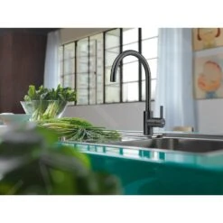 Franke Eos Neo - Keukenkraan FC 0044.502, Zwart 115.0613.590 -Keuken Verkoop 68fba5df2517fd96f5959f72