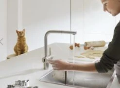 Franke Atlas Neo - Elektronische Keukenkraan FC 5489.501, Rvs 115.0625.489 -Keuken Verkoop 93d951e6b023bdc5a5725ca5