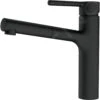 Franke Centro - Keukenkraan FP 0098.901 Met Uittrekbare Sproeikop, Mat Zwart 115.0621.592