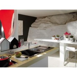 Franke Taros Neo - Keukenkraan FC 6381.501, Rvs 115.0596.381 -Keuken Verkoop e1d32e3307f1e01204d708c4